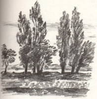 /album/vytvarne-kurzy-v-pardubicich/img023-jpg/